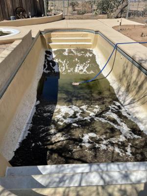 Casa Grande Pool Cleaning and Pool Repair Services
