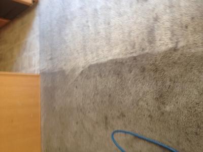 Casa Grande Carpet Cleaners, carpet cleaning, stain removal, residential carpet care, commercial carpet solutions, eco-friendly cleaning, deep clean, indoor air quality, pet stain removal, upholstery cleaning, Casa Grande
