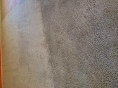 Casa Grande Carpet Cleaners, carpet cleaning, stain removal, residential carpet care, commercial carpet solutions, eco-friendly cleaning, deep clean, indoor air quality, pet stain removal, upholstery cleaning, Casa Grande