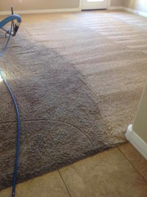 Casa Grande Carpet Cleaners, carpet cleaning, stain removal, residential carpet care, commercial carpet solutions, eco-friendly cleaning, deep clean, indoor air quality, pet stain removal, upholstery cleaning, Casa Grande